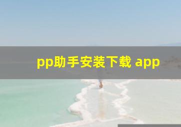 pp助手安装下载 app